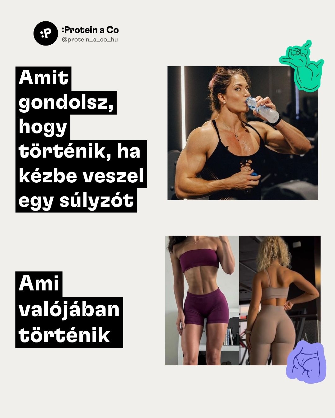 Kardio-vs-silovka-HU-2-clanek-cviceni-proteinaco