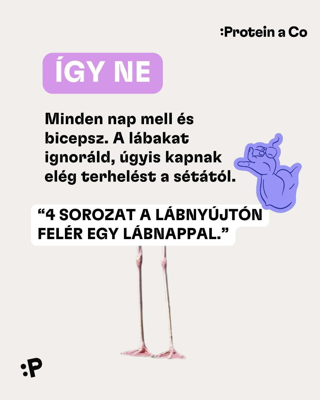 Jak-nabrat-svaly-bez-bllshitu-HU-1-clanek-cviceni-proteinaco