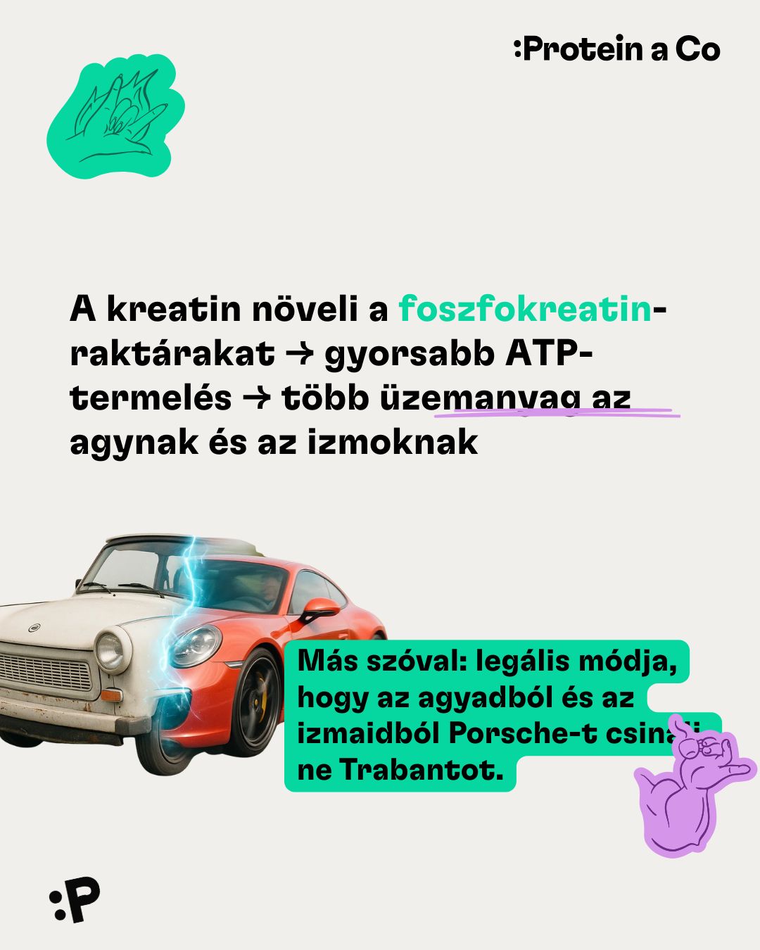 Kreatin-monohydrate-1-clanek-vyziva-proteinaco