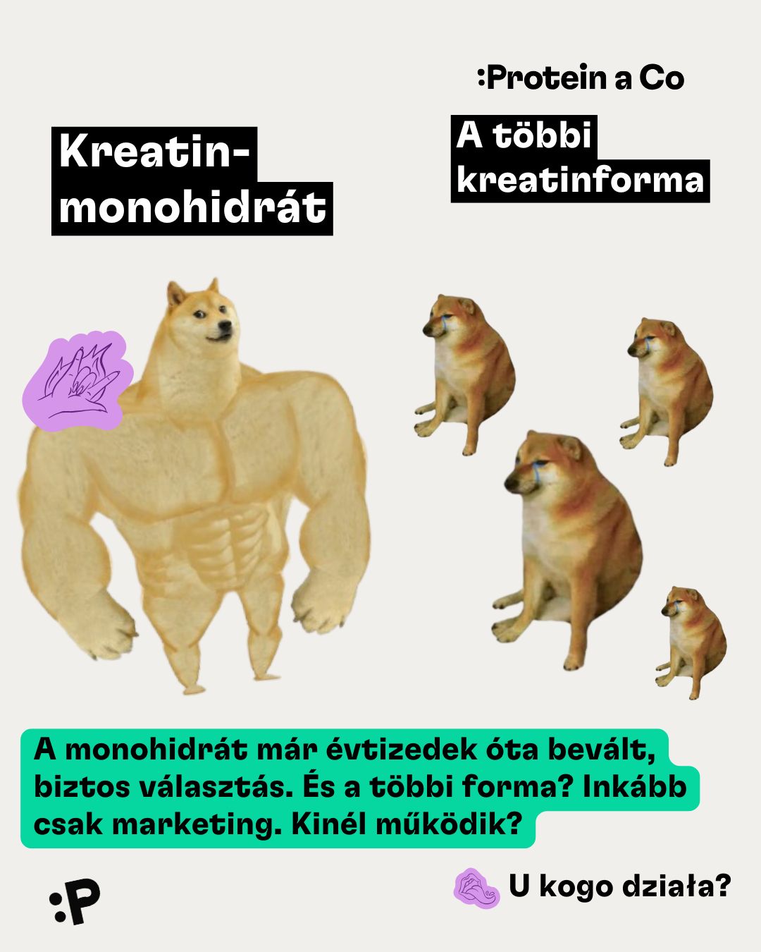 Kreatin-monohydrate-2-clanek-vyziva-proteinaco