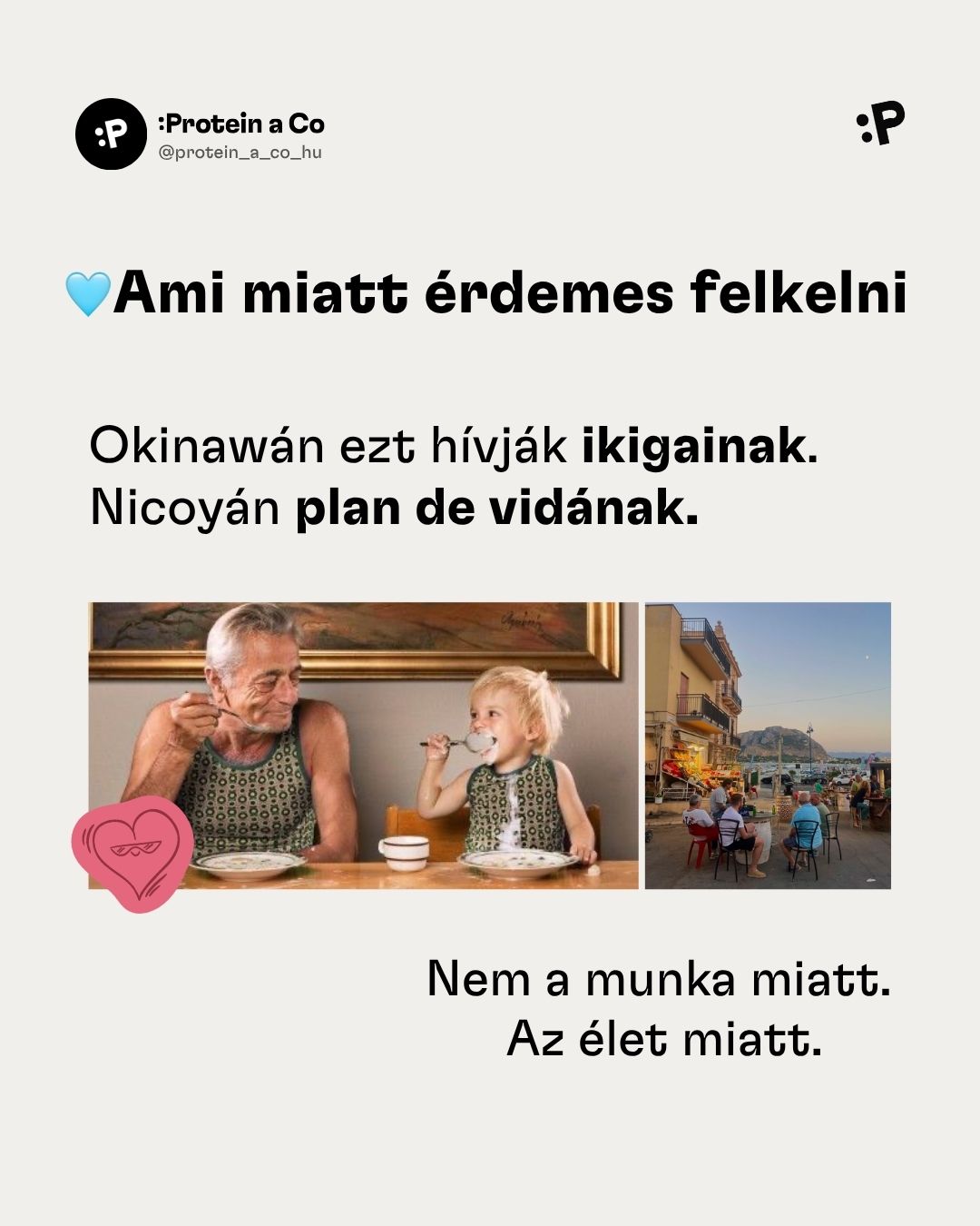 Modre-zony-HU-1-clanek-proteinaco