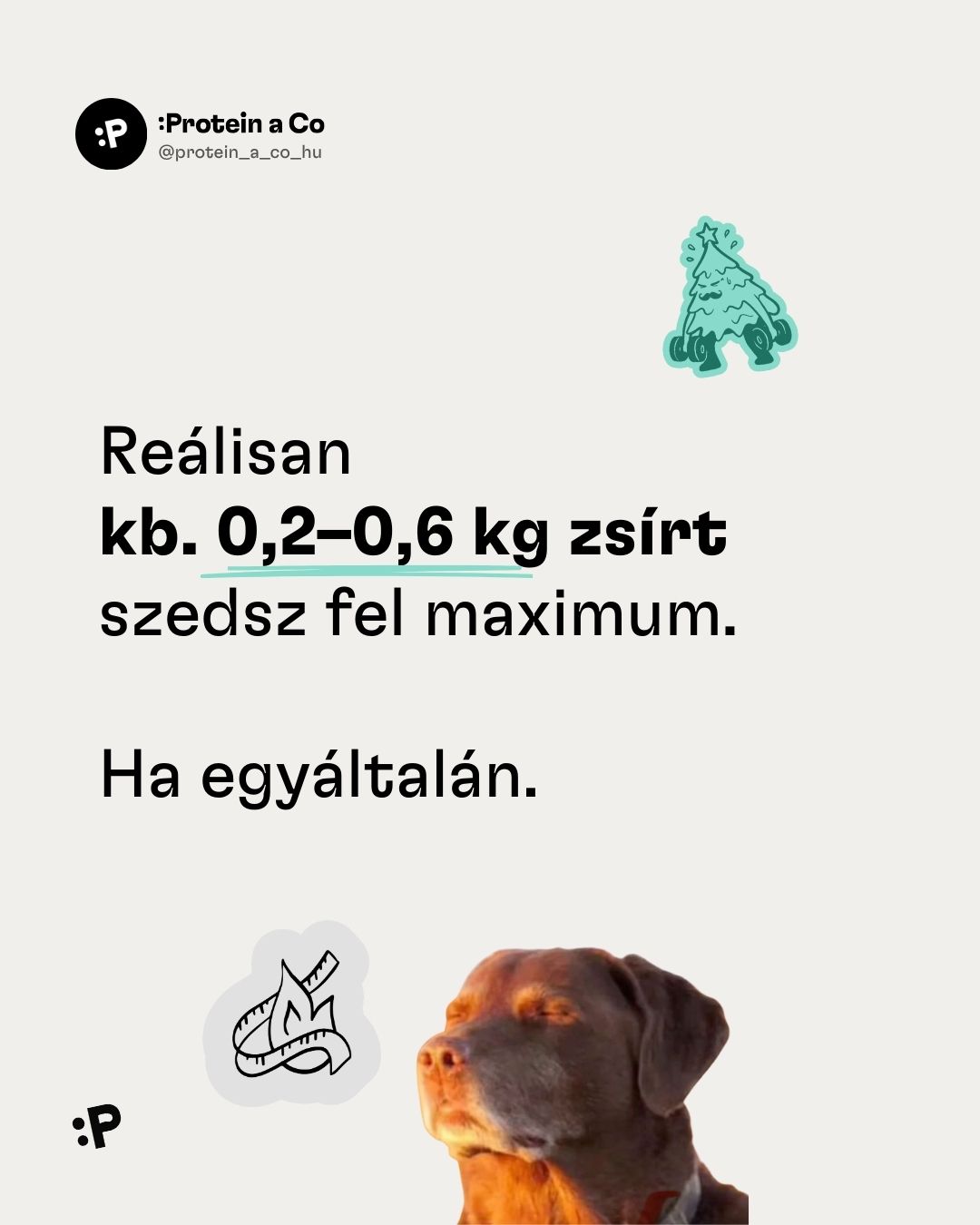 Vanoce-a-pribirani-HU-1-clanek-proteinaco