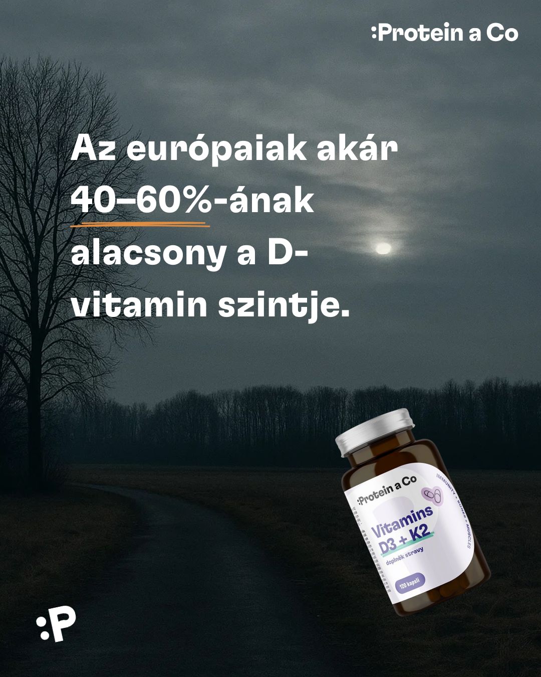 Vitamin-D-1-clanek-vyziva-proteinaco