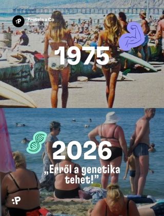 🧬 Ha a genetika a válasz minden problémádra, van egy rossz hírunk. A legtöbb embernél nem a genetika az, ami elhízottá...