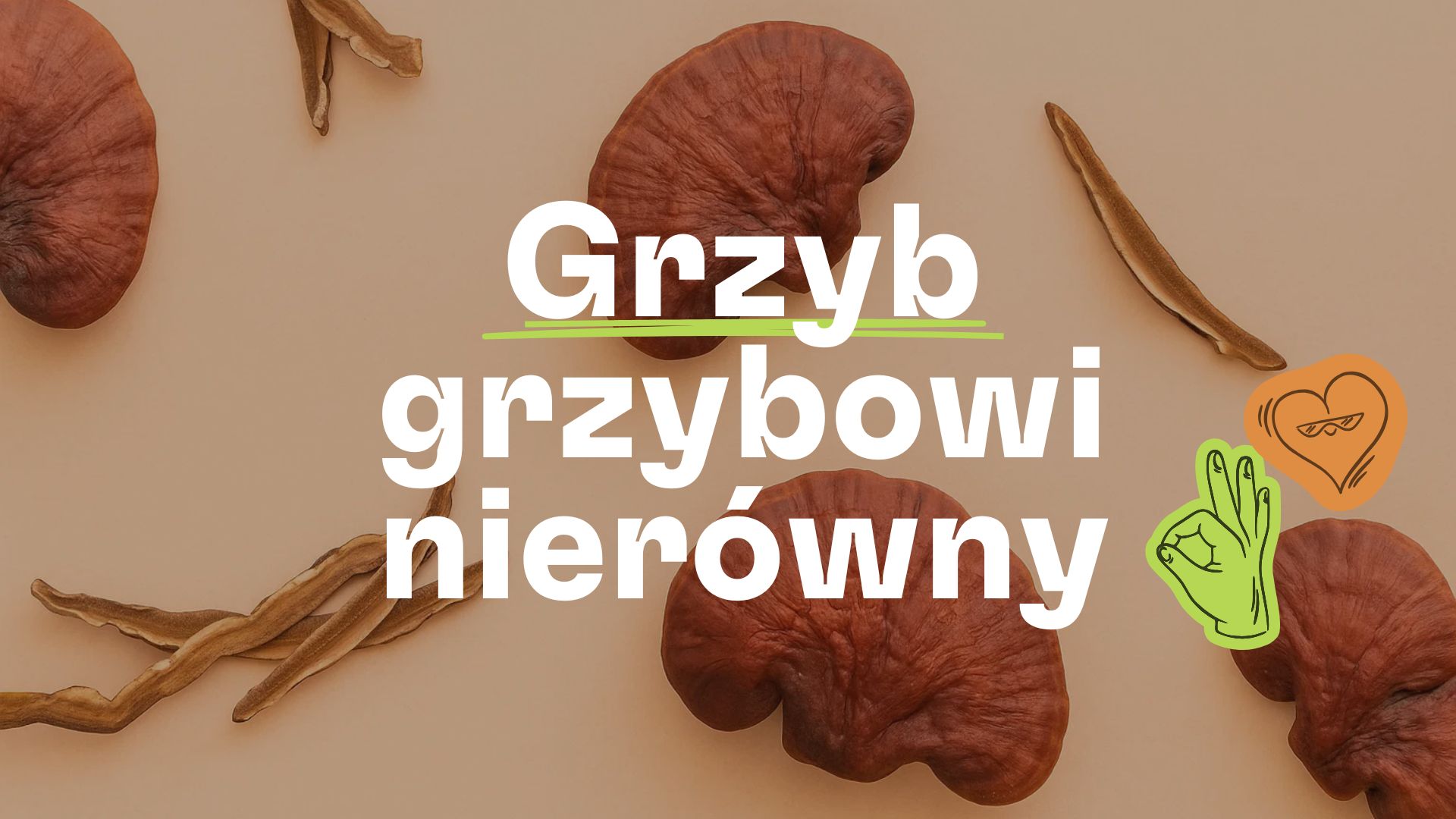 Grzyby, których u nas nie znajdziesz: Cordyceps, Reishi i Lion’s Mane dla energii, spokoju i koncentracji