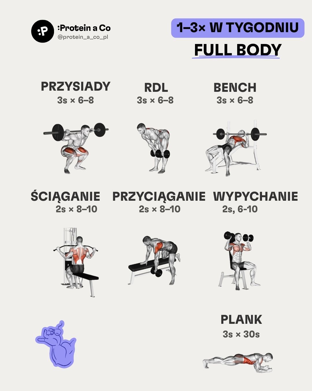 Jak-si-nastavit-treninkovy-plan-PL-1-clanek-cviceni-proteinaco