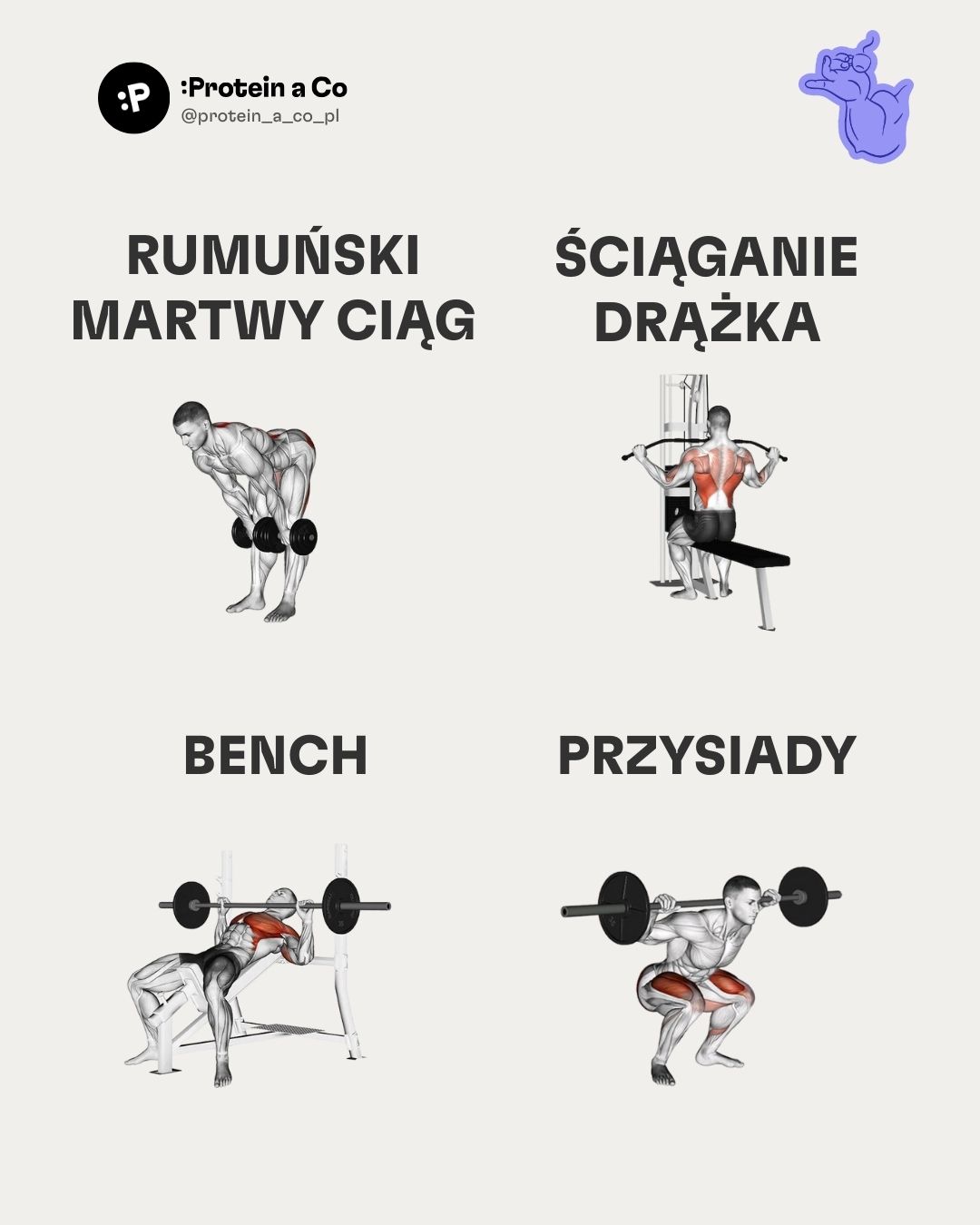 Nejlepsi-cviky-do-fitka-PL-1-clanek-cviceni-proteinaco