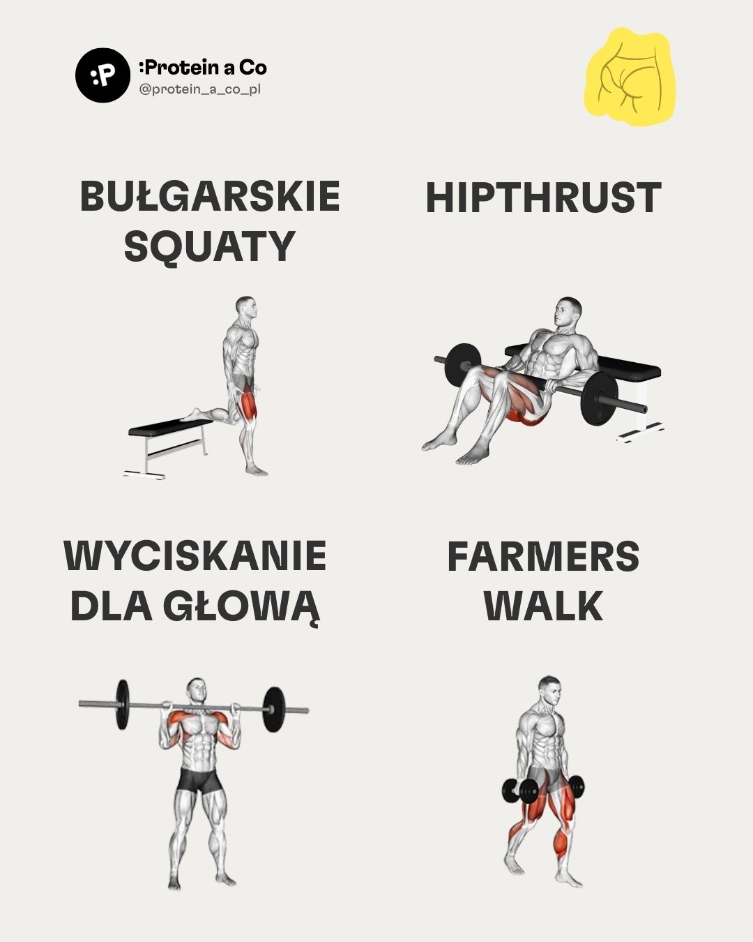 Nejlepsi-cviky-do-fitka-PL-2-clanek-cviceni-proteinaco