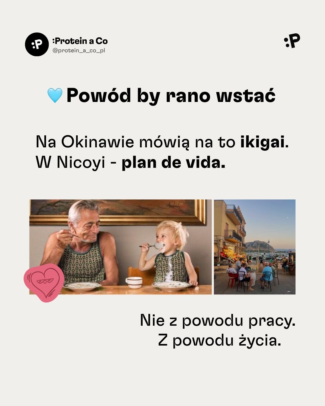 Modre-zony-PL-1-clanek-proteinaco