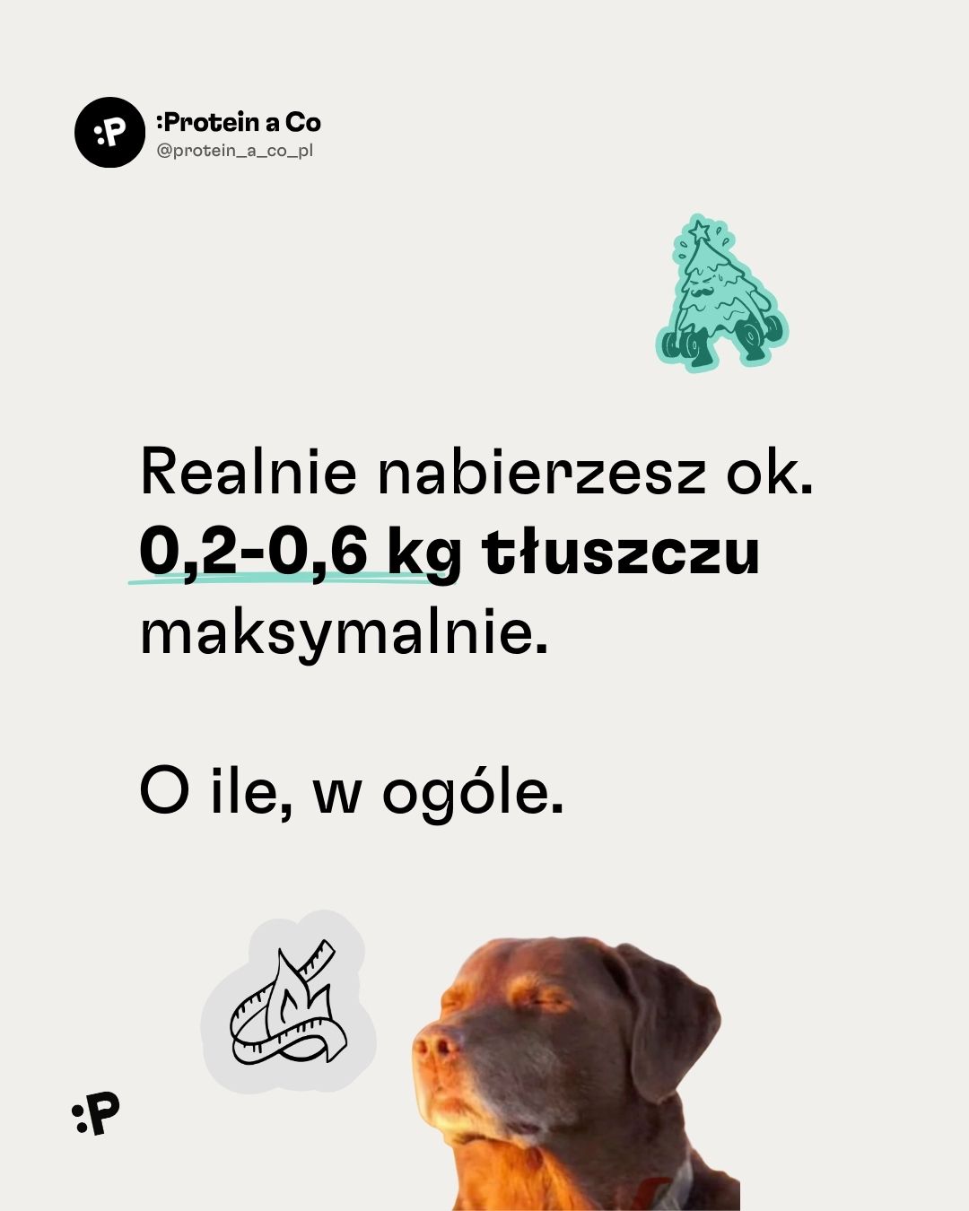 Vanoce-a-pribirani-1-PL-clanek-proteinaco