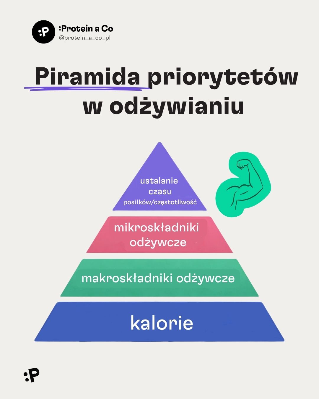 Co-jist-po-cviceni-1-PL-clanek-vyziva-proteinaco