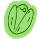 Pistachio