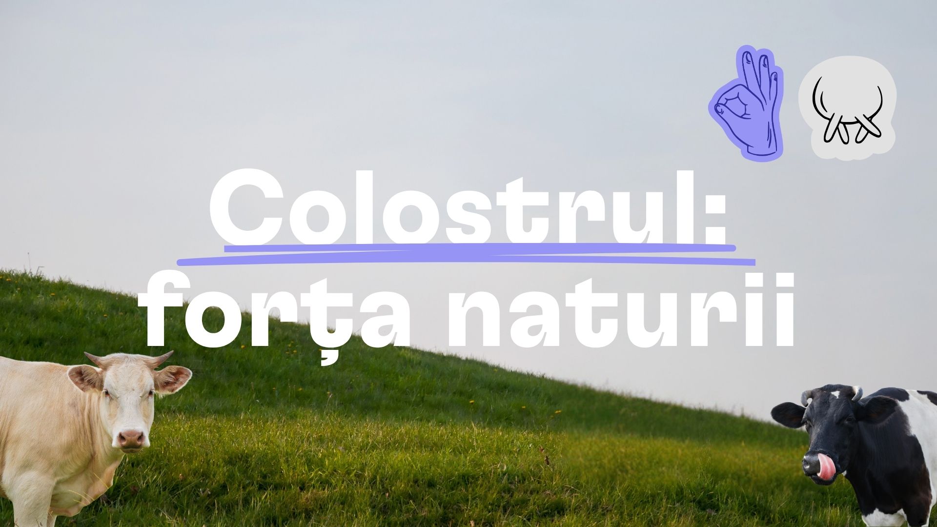 Colostrul: ce este și dacă merită să-l consumi?