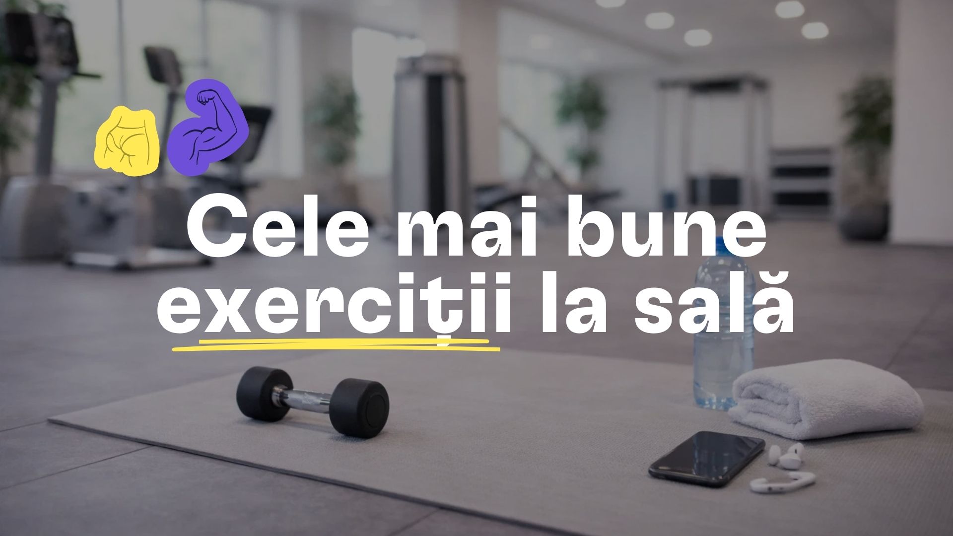 Cele mai bune exerciții la sală pentru o siluetă mai bună și mai multă forță