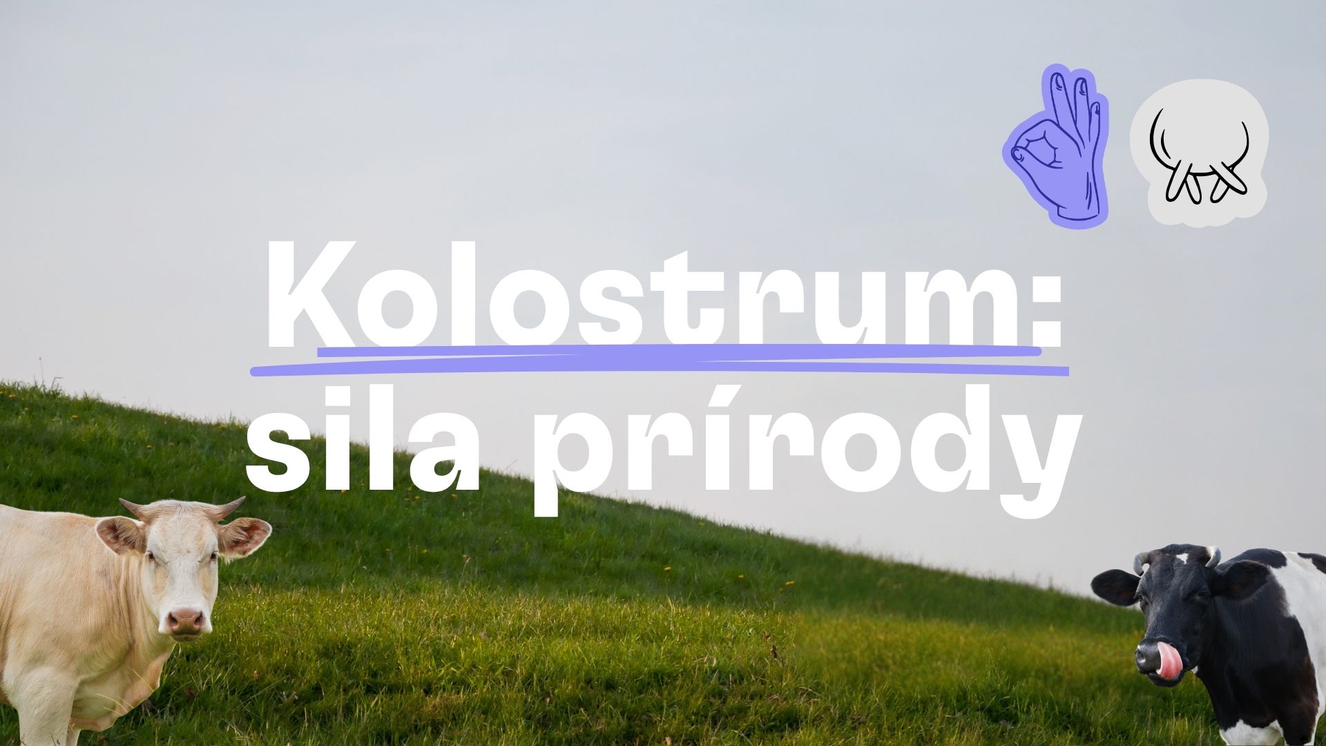 Kolostrum: Čo to je a oplatí sa?
