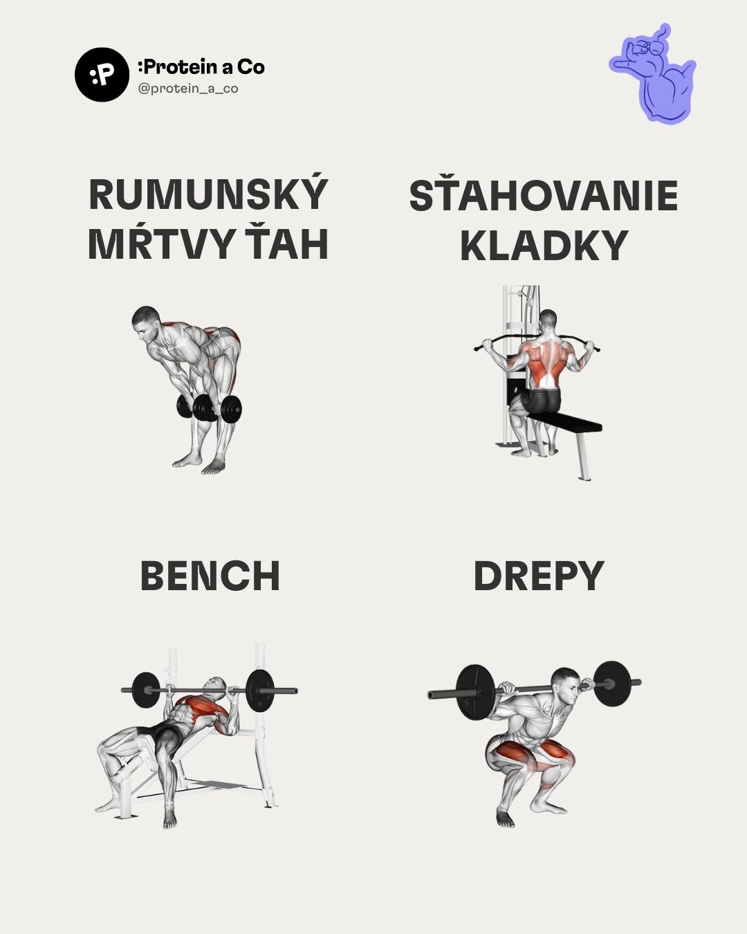 Najlepsie-cviky-do-fitka-1-clanek-cvicenie-proteinaco