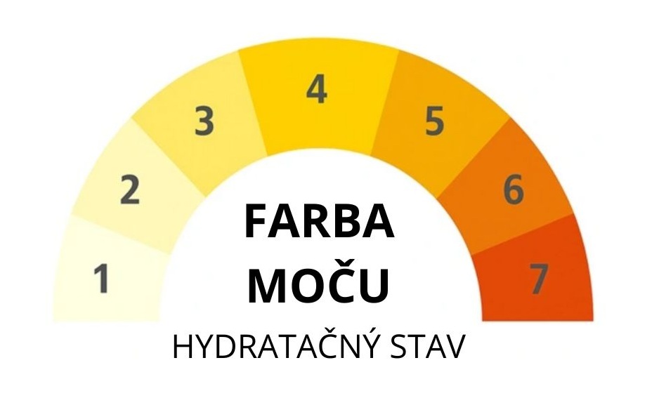 Hydratace-neni-jen-o-vode-SK-1-clanek-proteinaco
