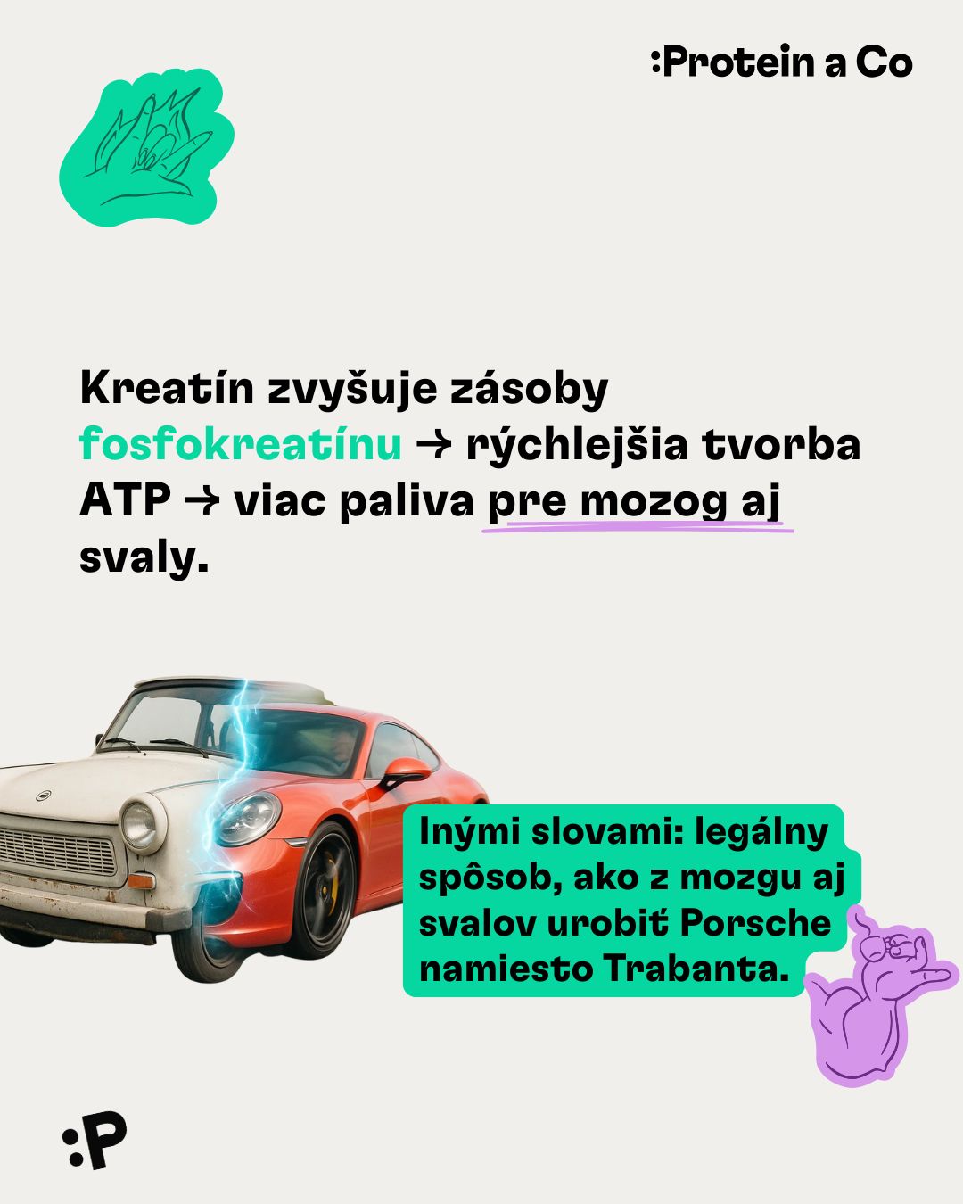 Kreatin-1-SK-clanek-proteinaco