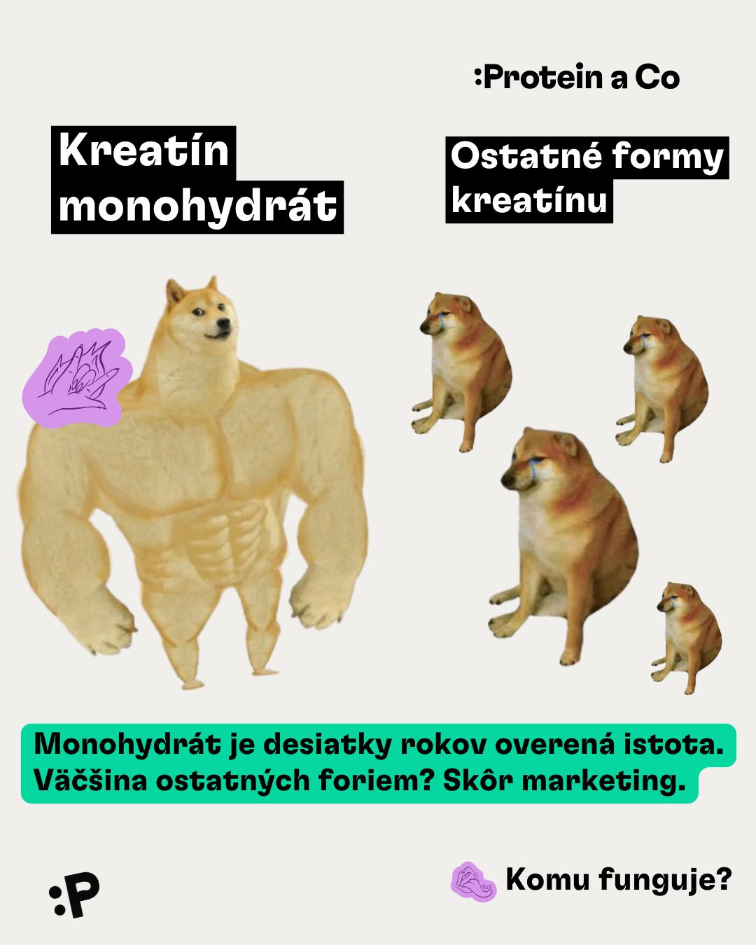 Kreatin-2-SK-clanek-proteinaco