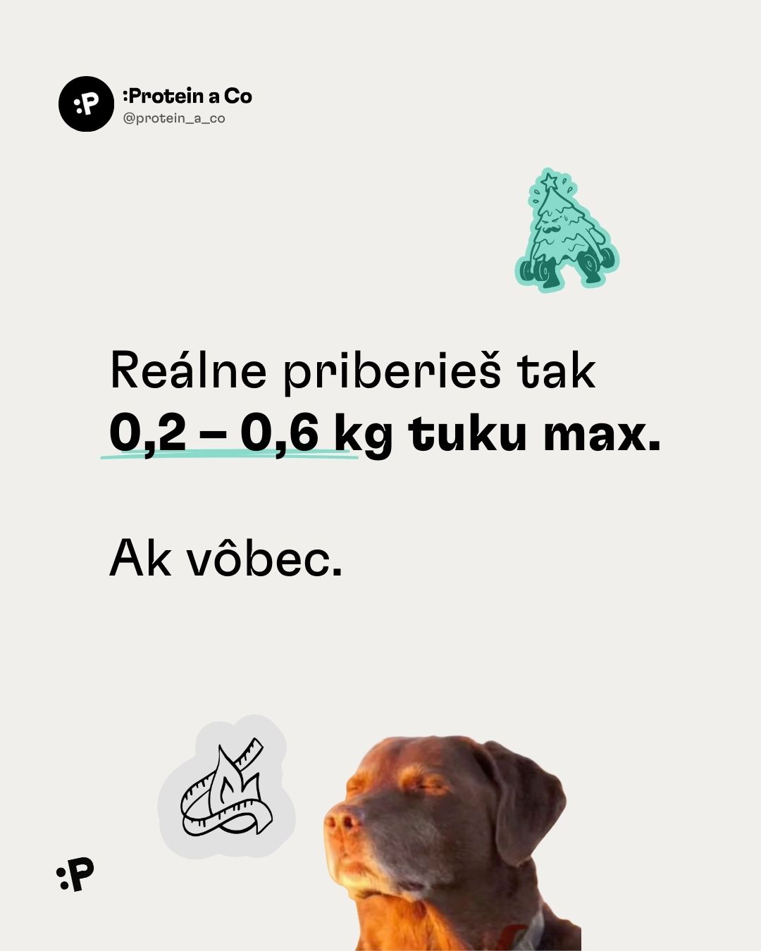 Vianoce-a-priberanie-1-clanek-proteinaco