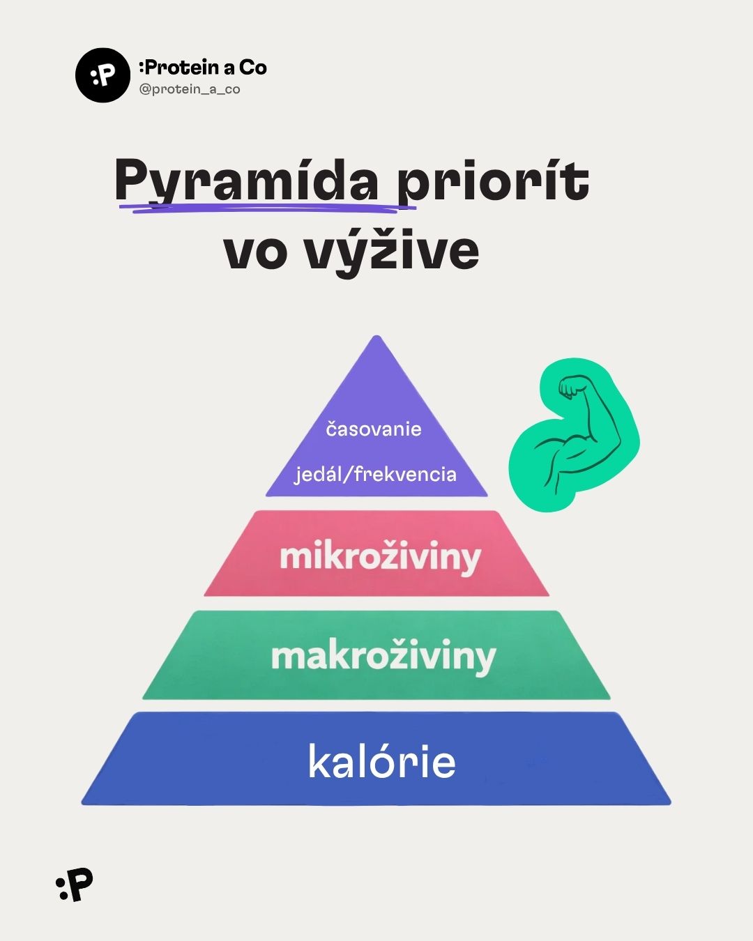 Co-jist-po-cviceni-SK-2-clanek-vyziva-proteinaco