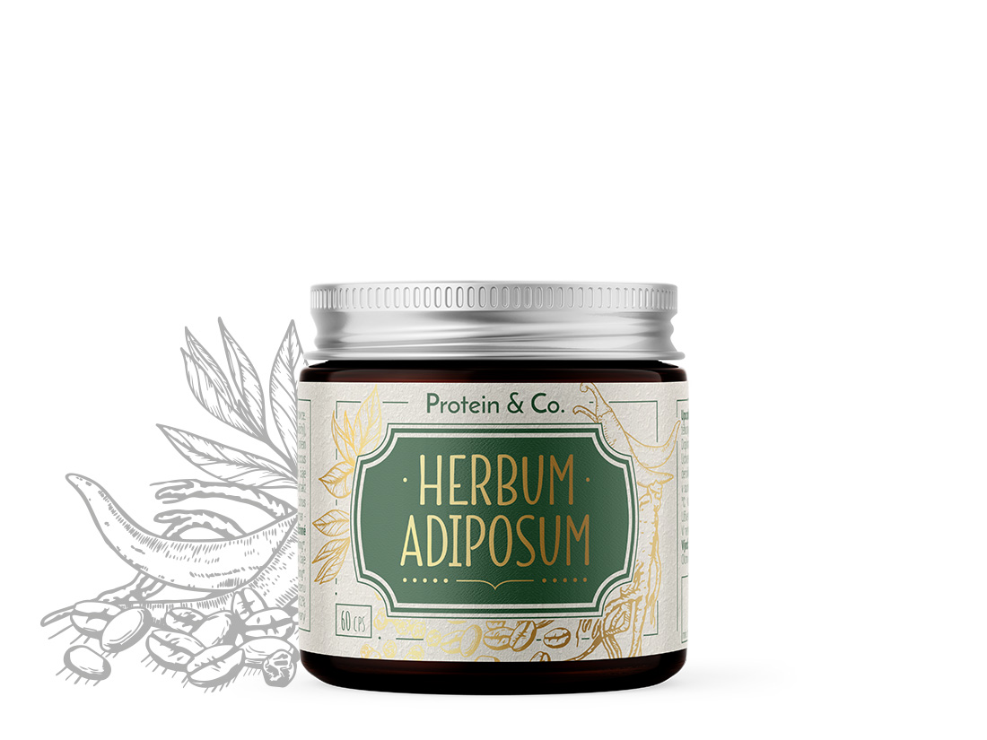 E-shop Protein & Co. Herbum adiposum – spaľovač tukov na prírodnej báze 60 cps