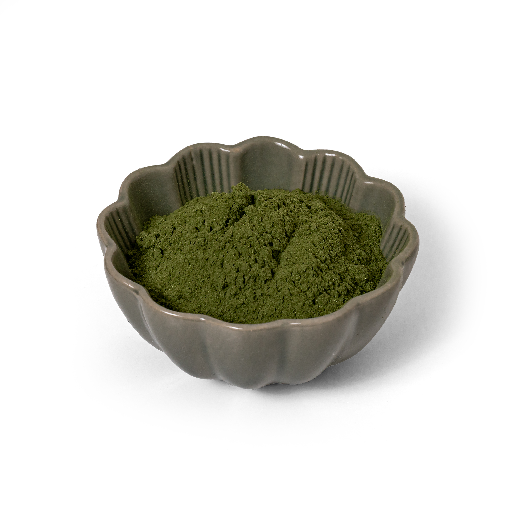 1583-mlady-jacmen-v-prasku-bio