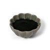 Spirulina BIO v prášku