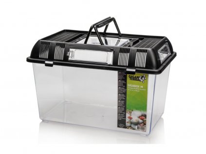 2964 giganterra chovny box m 27x17x16 cm 3 (1)