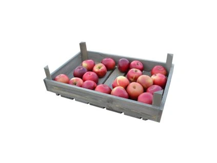 Bedýnka zelinářská líska