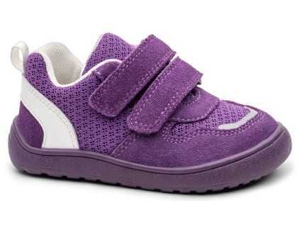 ALEXPURPLE_A.jpg