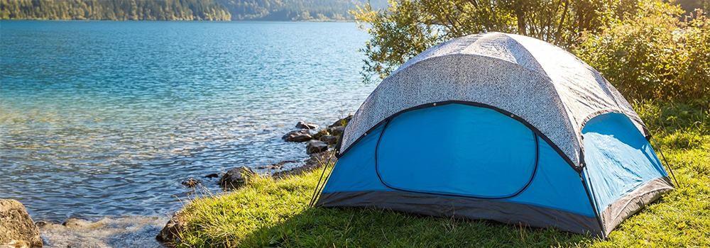 Cestujete se svými mazlíčky? Dopřejte jim pohodu v autě.