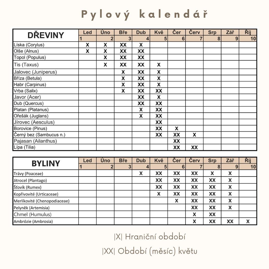 Pylové alergie a ekzém