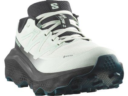 salomon ultra flow 2 gtx w 3