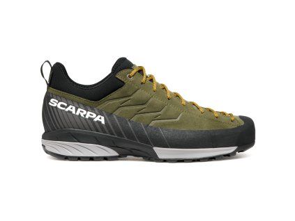 scarpa mescalito gtx approach shoes