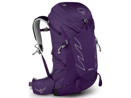 10012029OSP01 TEMPEST 34 III, violac purple