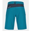 62257 52001 PELMO SHORTS M mountain blue B 02