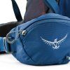 60e2fa79 batoh osprey kestrel 38 ii