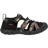 10020964KEN01 SEACAMP II CNX Y, ibis rose black 3