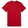 smartwool merino sport 150 tee slim fit merino shirt (2)