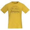 BERGANS Pánské triko CLASSIC V2 TEE light olive green - zelené