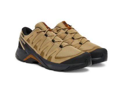 SALOMON Pánske trekové topánky X-ADVENTURE RECORN GTX kelp/kelp/sierra - hnedé (Veľkosť EU - komplet 40 2/3)