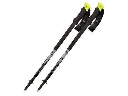 FIZAN Trekkingstöcke COMPACT PRO grau - grau