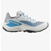 SALOMON Women's GENESIS W weiß/lunar rock/transcend blau Laufschuhe - weiß (Größe EU - komplett 36 2/3)