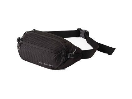 GREGORY NANO WAISTPACK 2,0 4L in schwarzer Optik - schwarz