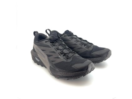 BAZAR - SALOMON Herren Laufschuhe SENSE RIDE 5 GTX schwarz/magnet/schwarz - schwarz