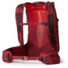 GREGORY Damen Wanderrucksack MAYA 20 LD PLUS iris rot - rot