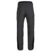 DIRECT ALPINE Herrenhose BADILE 5.0 anthrazit - grau (Größe L)
