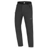 DIRECT ALPINE Herrenhose BADILE 5.0 anthrazit - grau (Größe L)