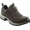 Meindl Rapide GTX Wanderschuhe (dunkelbraun) D 5212 46 Bild 1.webp